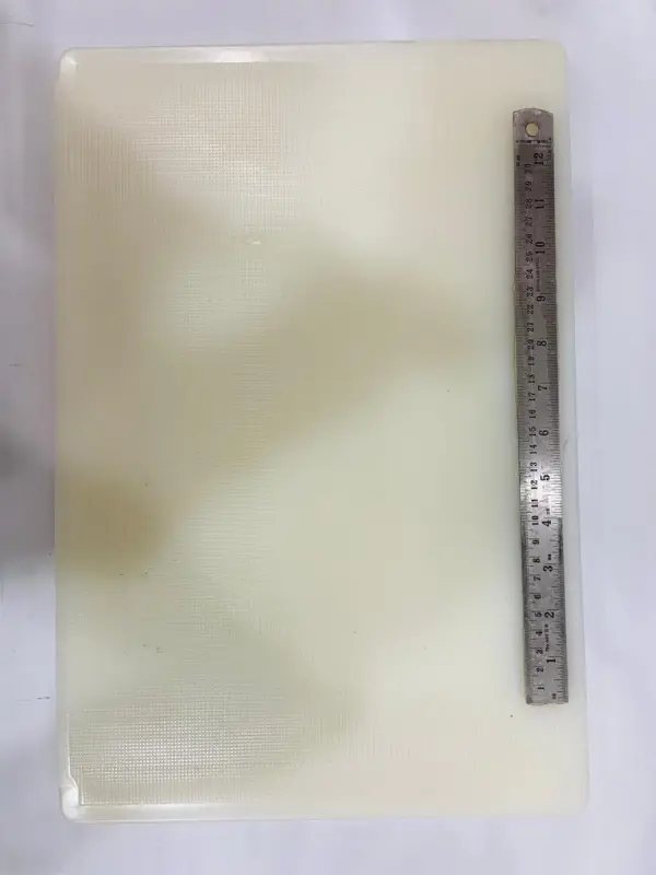 Dissection Board With Scale